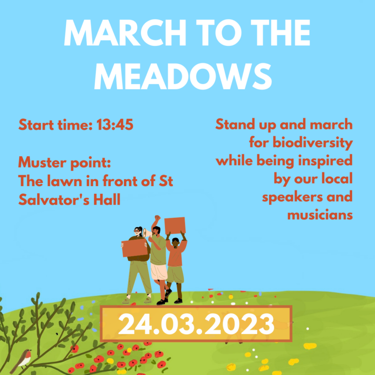 March to the Meadows: Act for Our Local Wildlife