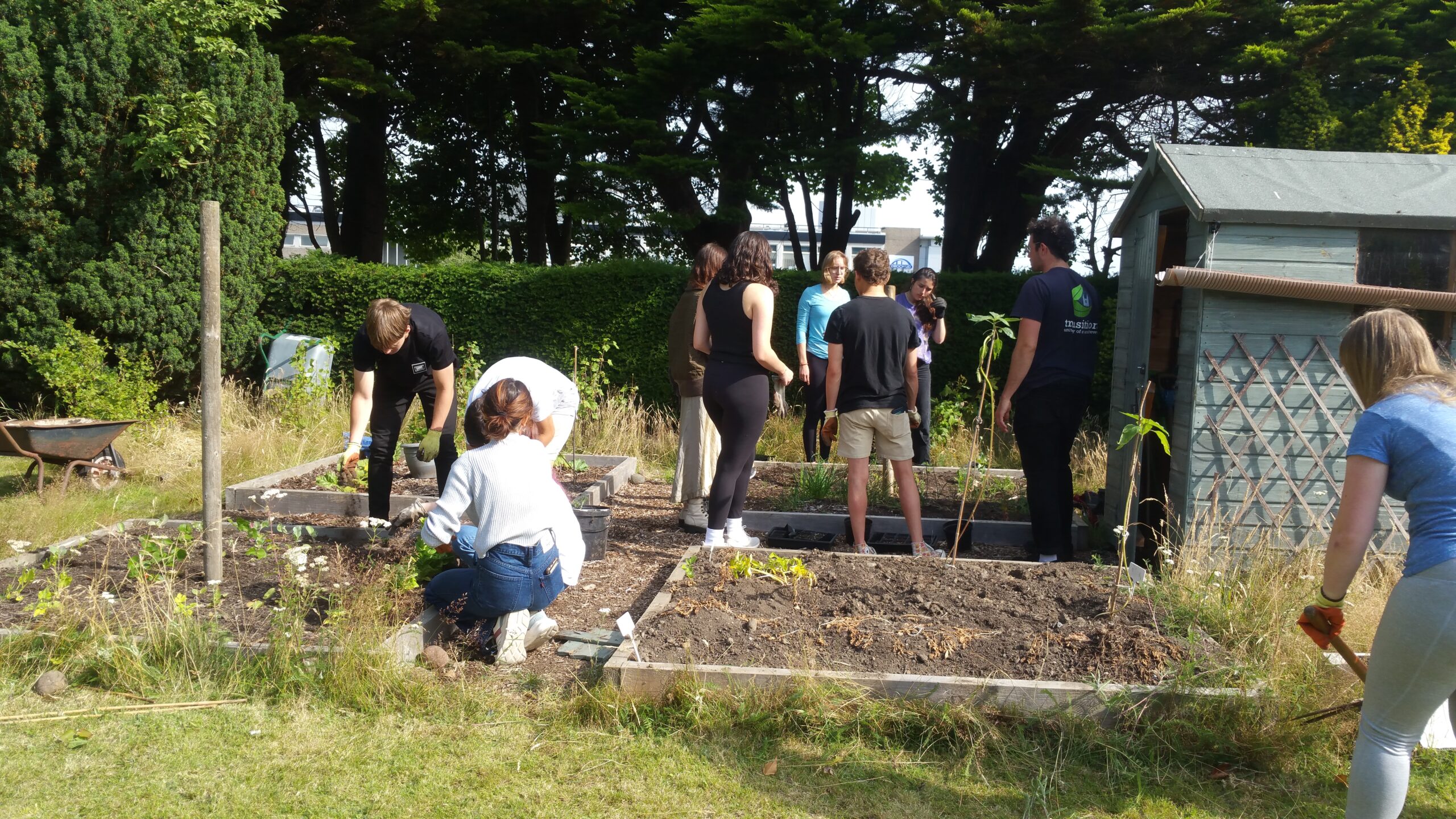 Edible Campus – Friday Rota, University and Whitehorn Hall garden